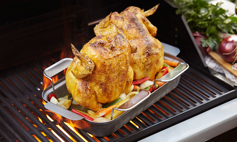 Fervor Grill Gas Grill Barbecue Poultry Roaster